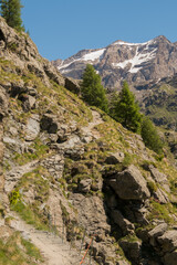Walking path in the italian alps