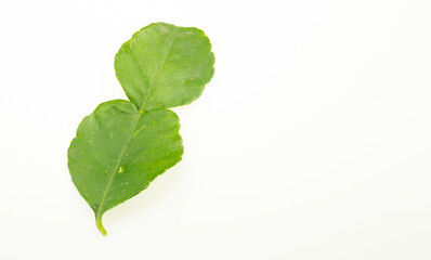 Kaffir lime leaves