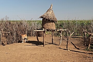 Dwellings and villages of Daasanach people. Near Omorate and the Omo River. Southern Ethiopia. Africa.