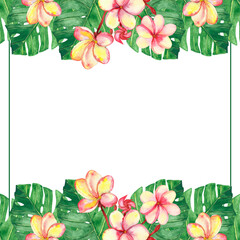 Watercolor hand painted nature tropical banner border frame with green palm leaves and pink blossom plumeria flowers on the white background for invite and greeting card with the space for text