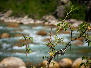 drawings made by the water of the Isabena river in its journey through the mountain