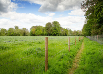 Fototapeta na wymiar walkway along a farmer field