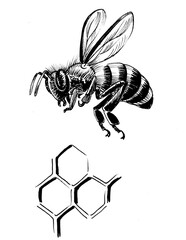 Flying honey bee and combs. Ink black and white drawing