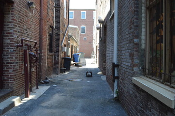 alley way
