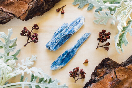 Blue Kyanite with Dusty Miller and Natural Elements