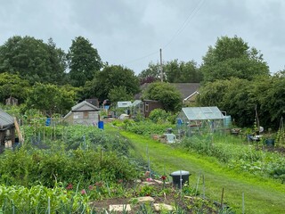 Allotments in Scholes, Leeds, UK