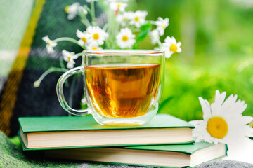 Glass cup of herbal tea with chamomile flower on books, warm green plaid on table outdoor. Cozy home, nature background in garden.