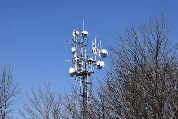 TV transmitter with trees