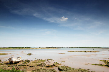 wetland in essex england