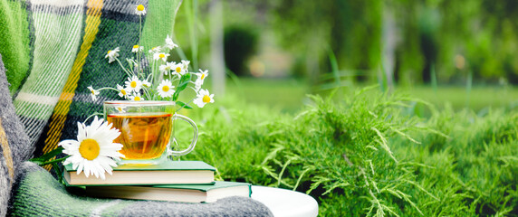 Glass cup of herbal tea with chamomile flower on books, warm green plaid on table outdoor. Cozy home, nature background in garden. Long web banner with copy space