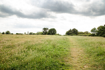 Fototapeta na wymiar walkway along a farmer field