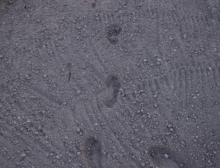 Trampled on the flat ground in the garden. Footprints on the ground.