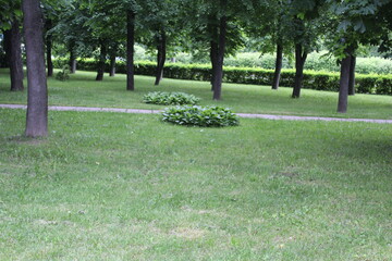 В сквере на прогулке