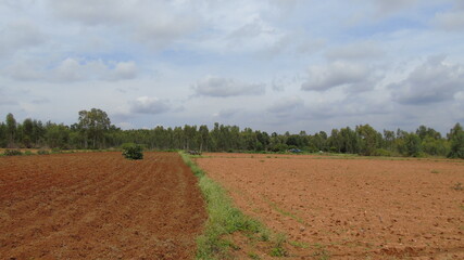 landscape with a field