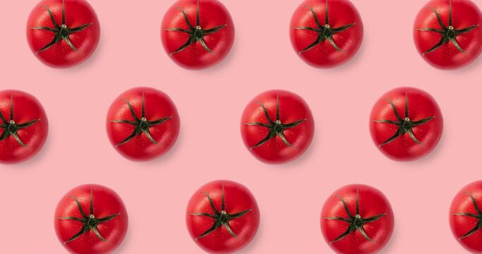 Seamless pattern with many red tomatoes isolated on a pink background. animated pattern for summer menu of cafe and restaurant, template for advertising