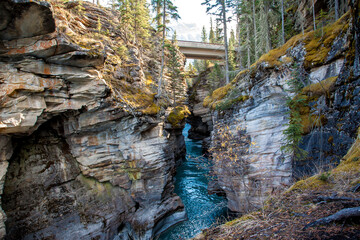 athabasca falls, adjacent to the Icefields Parkway in Alberta, Canada