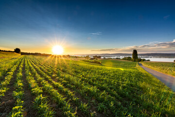 Sunset at Lake Constance with Reichenau Island