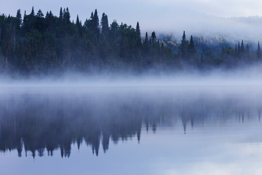 Summer morning in Mont-Tremblant national park © Mircea Costina