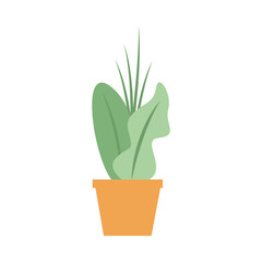 Isolated plant inside pot vector design