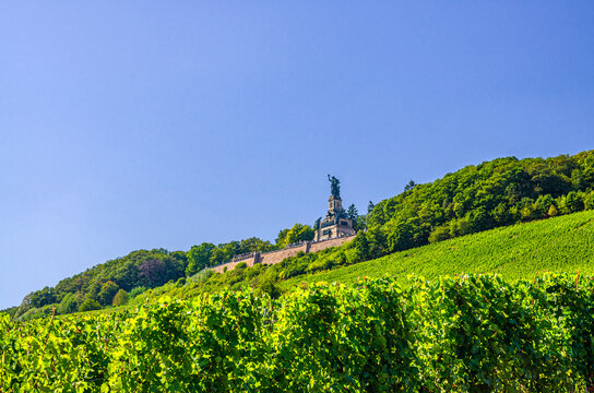 Niederwalddenkmal Germania monument on Niederwald broad hill with vineyards green fields of Rhine river valley near Rudesheim am Rhein, commemorate the Unification of Germany, State of Hesse, Germany