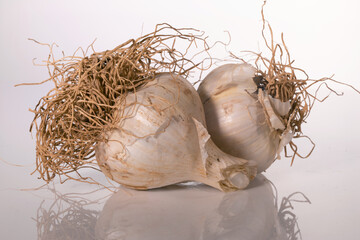 Untrimmed garlic heads - 362971149