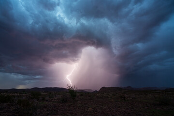 A lightning strike Safford, Arizona during monsoon season. - obrazy, fototapety, plakaty