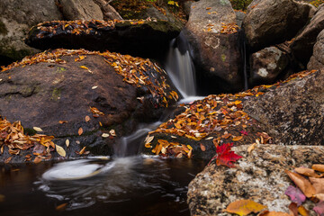 A stream passes through leaf covered rocks.
