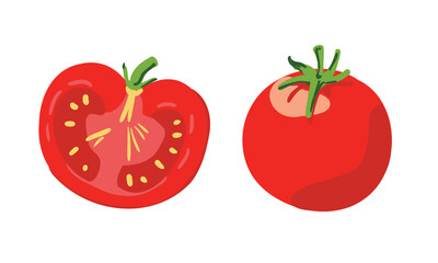 Hand drawn vector illustration – tomato isolated on white. Concept of healthy food, vegetable. Cartoon doodle style. Element for your design