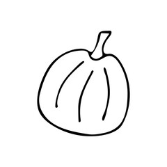 Pumpkin in Doodle style. Black and white vector. Concept holiday illustration. Happy Halloween. Harvesting