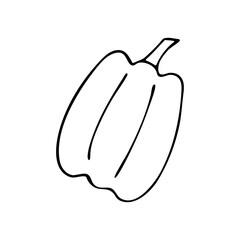 Pumpkin in Doodle style. Black and white vector. Concept holiday illustration. Happy Halloween. Harvesting