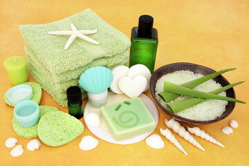 Natural skincare beauty treatment for anti ageing with aloe vera & ex foliation, moisturiser,...