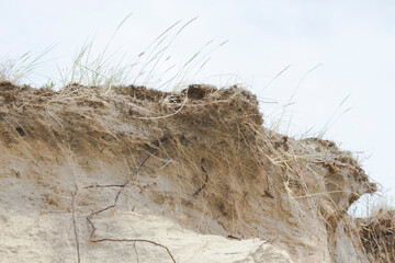 dunes