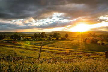 Obraz premium Sunset over the field