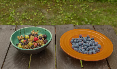 Mixed color garden fruit on wooden brown table and orange and green dish