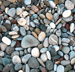 Abstract background texture - colorful pebbles on the sea beach