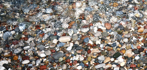 Background texture - colorful wet pebbles on the sea beach