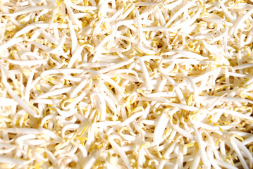 fresh raw peeled green bean sprouts