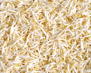 fresh raw peeled green bean sprouts