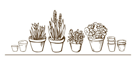 Beautiful line art contour set with flowerpots, flower, pot. Collection of isolated black brown elements on white background. Art drawn vector illustration object. Home, garden,Interior concept.