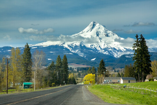 A paved road leading directly into a huge image of snow covered Mt Hood