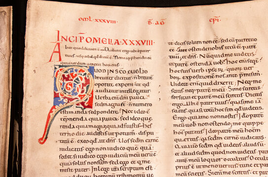 A vellum manuscript leaf of Augustine's homilies on John's Gospel written in Tuscany in the twelfth century. Showing an illuminated capital letter. 