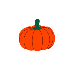 Pumpkin vector flat illustration. Pumpkin for Halloween and thanksgiving day design. Organic autumn vegetables