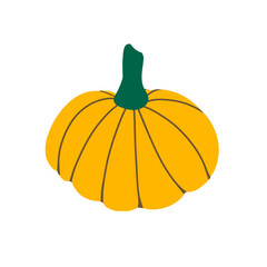 Yellow pumpkin isolated on a white background.Pumpkin for Halloween and thanksgiving day design.Organic autumn vegetable