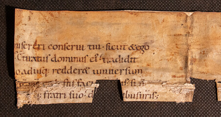 A fragment of John's Gospel from the New Testament from a manuscript of the tenth century on vellum