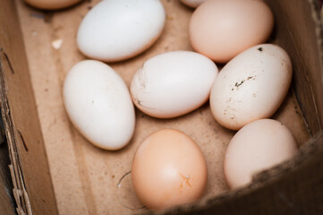 Homemade eco-friendly eggs lay folded in a cardboard box for storage