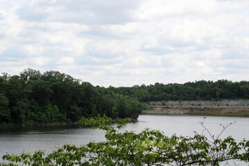 A view of the lake though the branches of the trees.