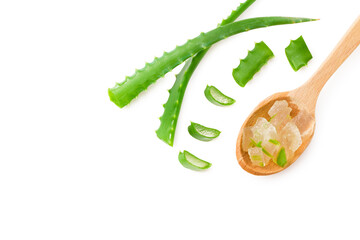 Aloe vera with slices isolated on a white background. Top view.