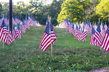 american flag field
