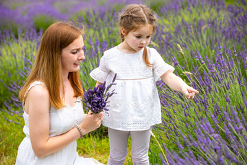 Mother walks with her little daugher holding a bouquet of lavander, Czech republic