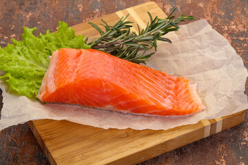Piece of raw salmon